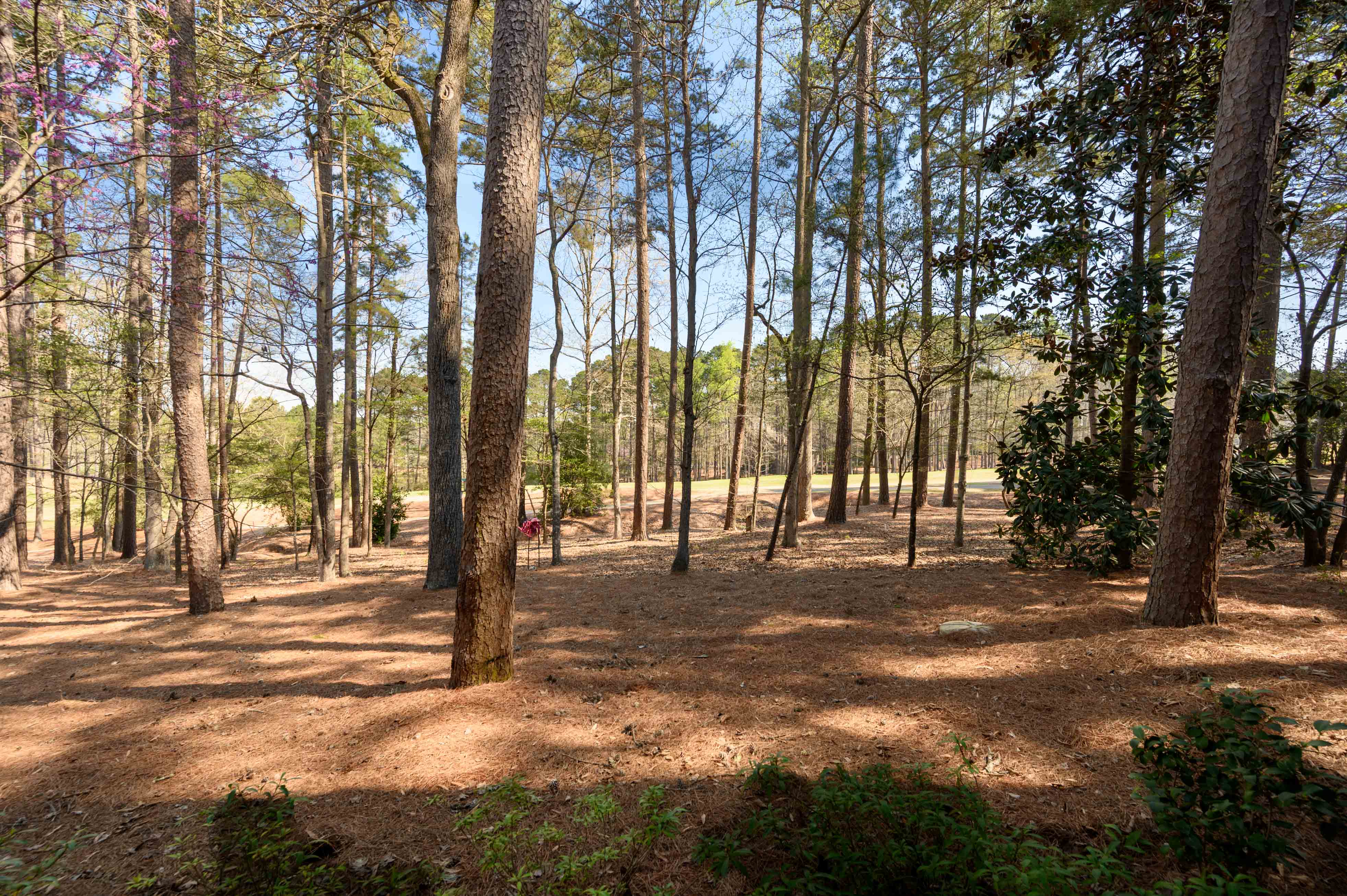 1141 Locket's Trail image 32